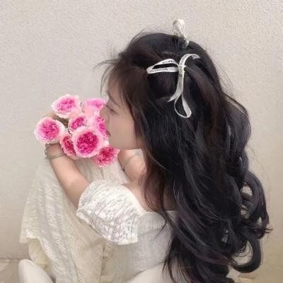 胭脂劫 海报